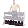 Optional 3rd tier Dumbbell Shelf for Rack (GDR60) - Discontinued