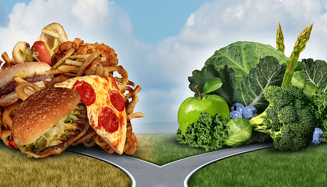 get fit in a plus size world