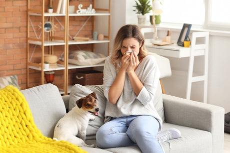 how to allergy proof your home