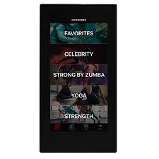 Echelon Reflect 50 Inch Touchscreen Smart Mirror - Discontinued